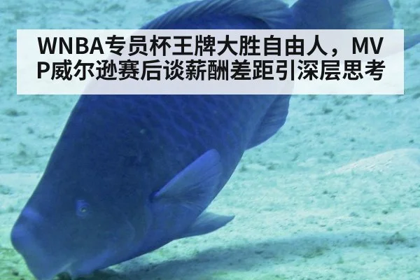 WNBA专员杯王牌大胜自由人，MVP威尔逊赛后谈薪酬差距引深层思考